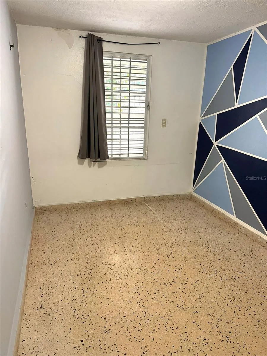 PR 156 MULAS WARD Aguas Buenas, PR 00703