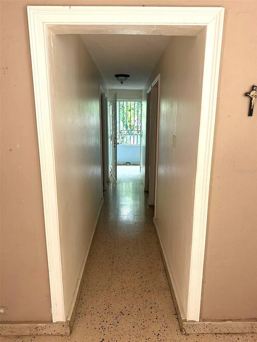 PR 156 MULAS WARD Aguas Buenas, PR 00703