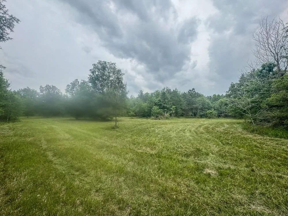 1653 Private Road 8160 Lovelady, TX 75851