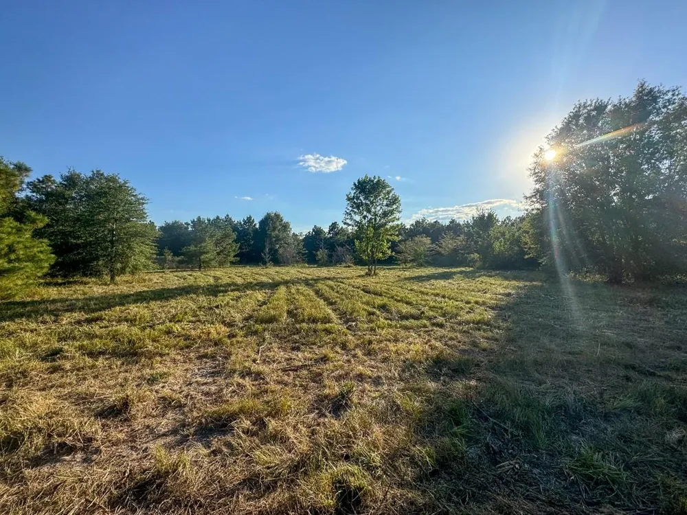 1653 Private Road 8160 Lovelady, TX 75851