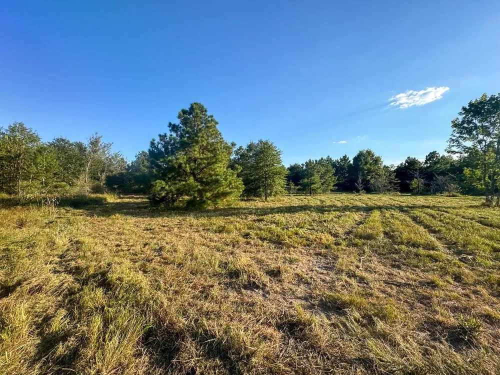 1653 Private Road 8160 Lovelady, TX 75851