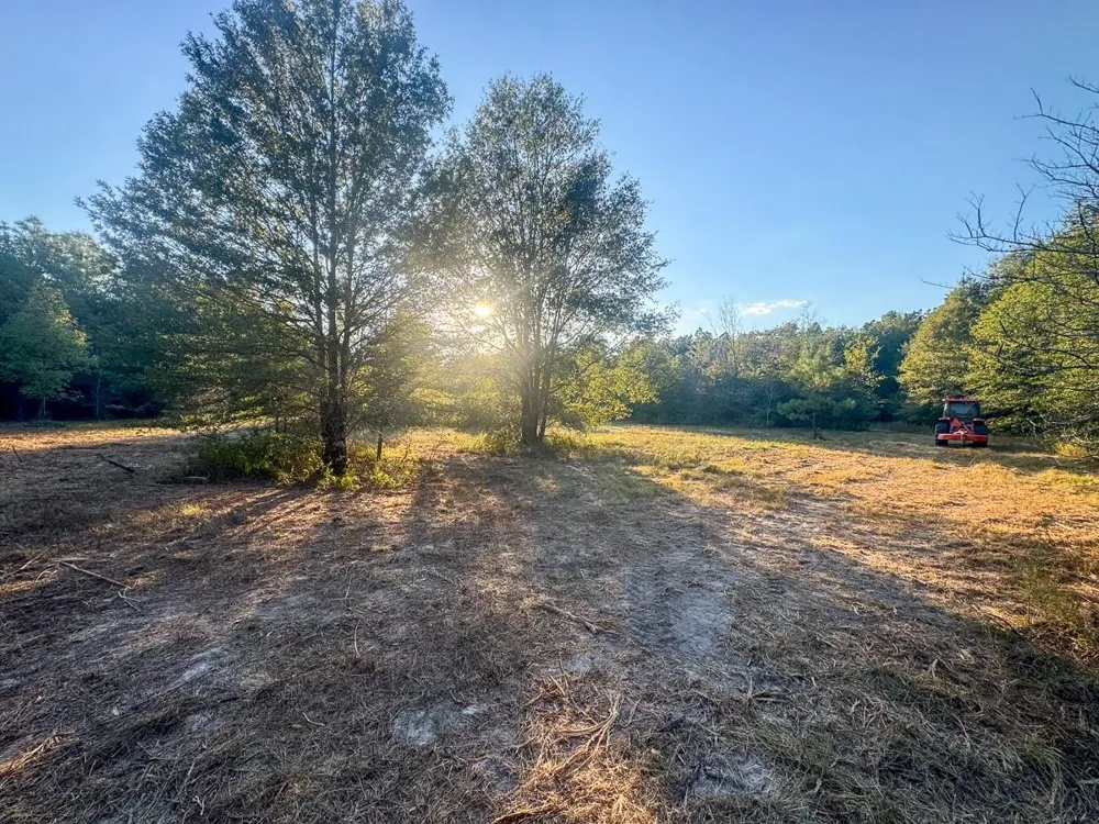 1653 Private Road 8160 Lovelady, TX 75851