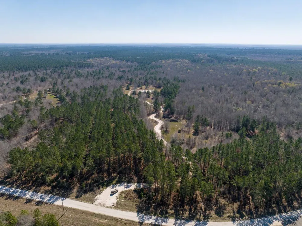 1653 Private Road 8160 Lovelady, TX 75851