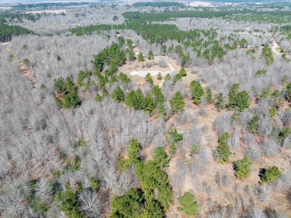 1653 Private Road 8160 Lovelady, TX 75851