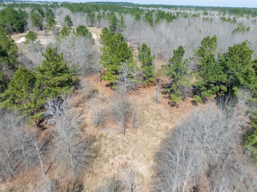 1653 Private Road 8160 Lovelady, TX 75851