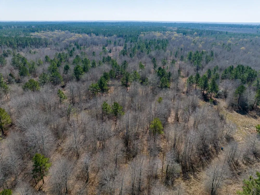 1653 Private Road 8160 Lovelady, TX 75851