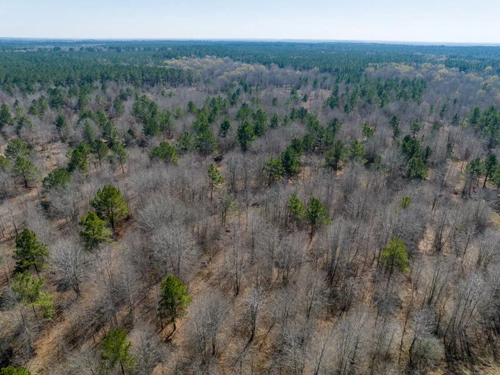1653 Private Road 8160 Lovelady, TX 75851