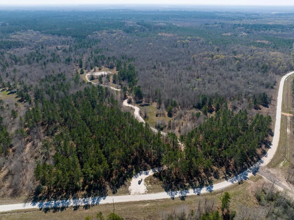 1653 Private Road 8160 Lovelady, TX 75851