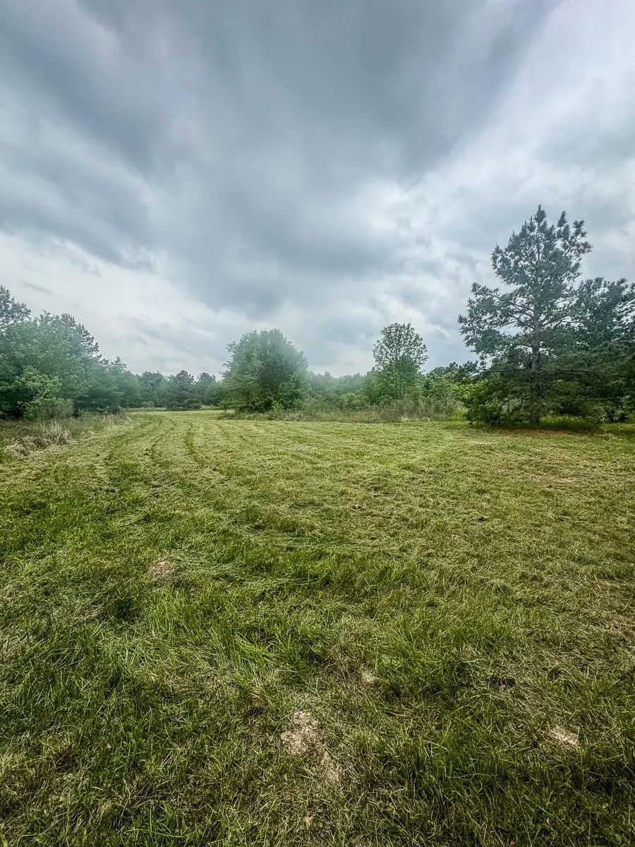 1653 Private Road 8160 Lovelady, TX 75851