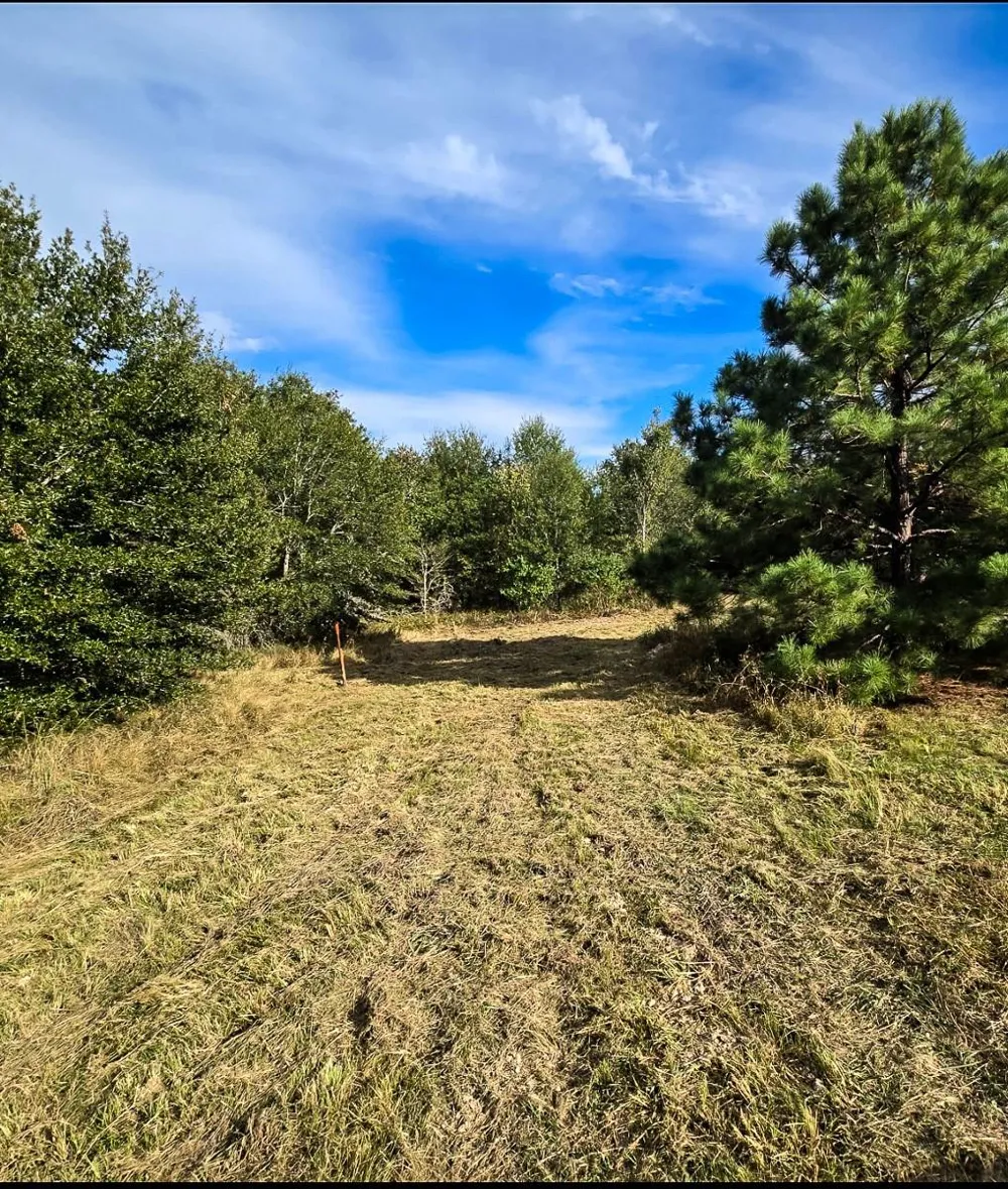 1653 Private Road 8160 Lovelady, TX 75851