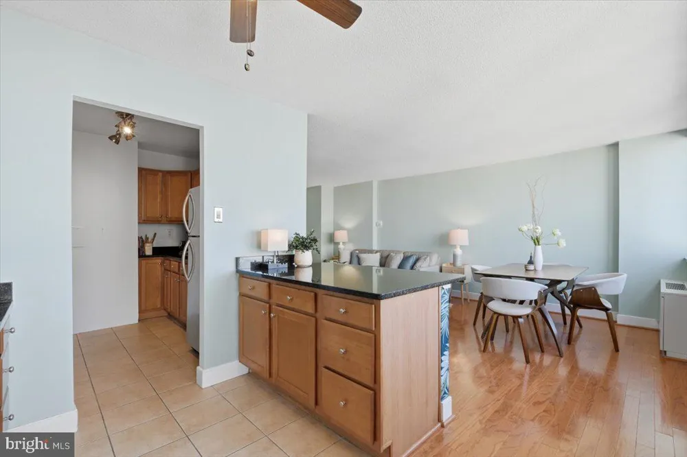 1220 BLAIR MILL ROAD #1008 Silver Spring, MD 20910