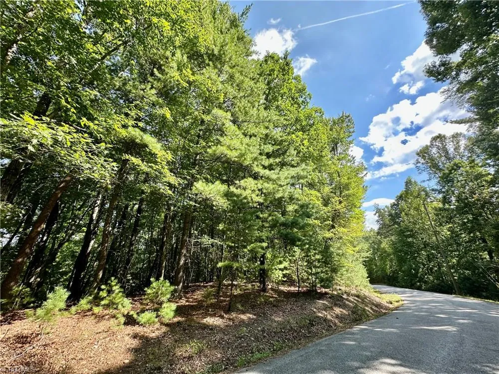 LOT 2 Sutters Ridge Road McGrady, NC 28649