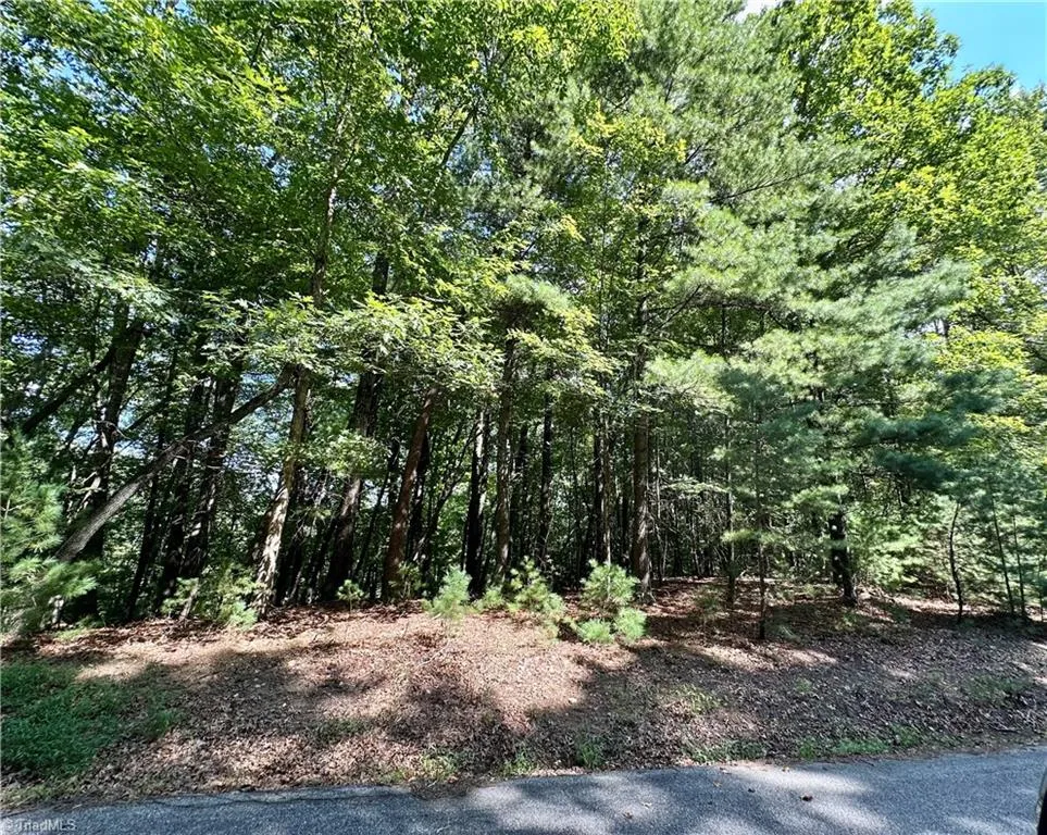 LOT 2 Sutters Ridge Road McGrady, NC 28649