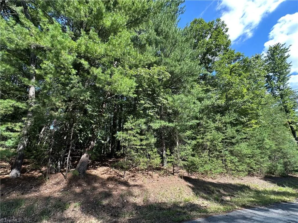 LOT 2 Sutters Ridge Road McGrady, NC 28649