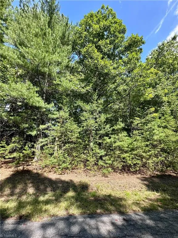 LOT 2 Sutters Ridge Road McGrady, NC 28649