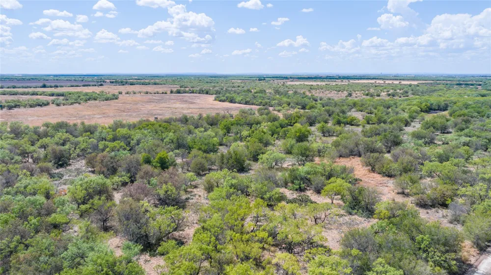 CR 151 Abilene, TX 79601