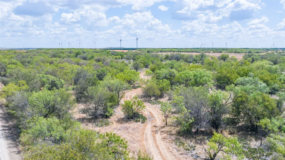CR 151 Abilene, TX 79601