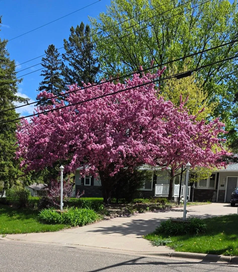 2244 Mcmenemy Street Maplewood, MN 55117
