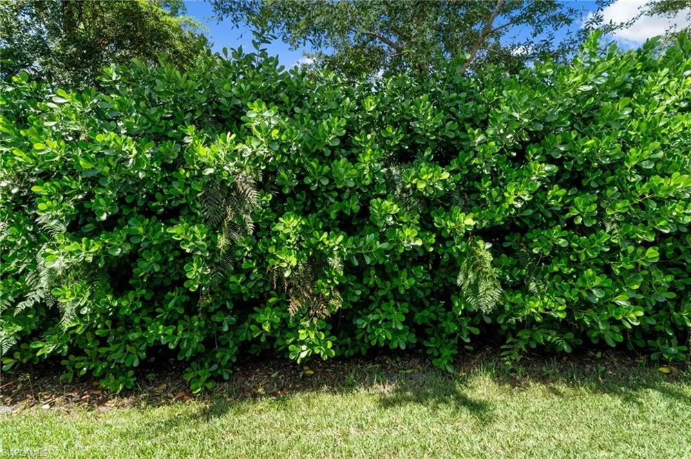 9086 Woodhurst Drive Naples, FL 34120