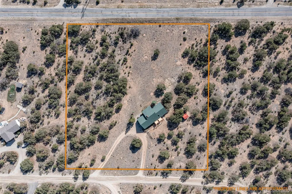 29165 Pinon Circle Drive Buena Vista, CO 81211