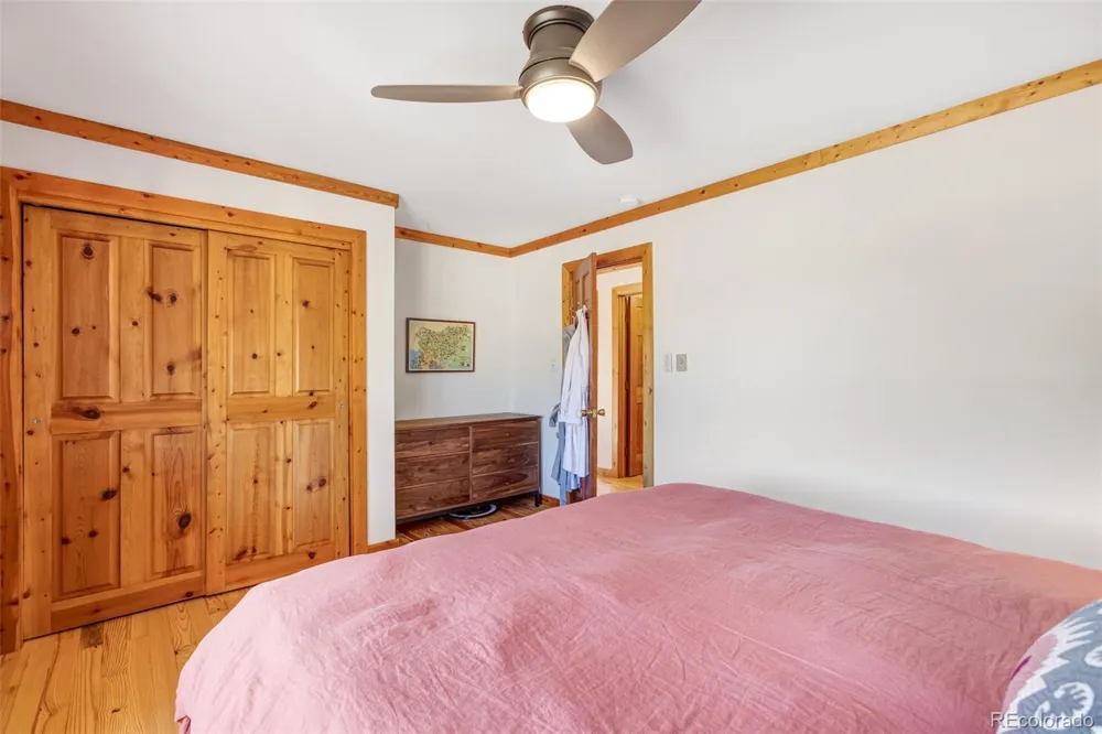 29165 Pinon Circle Drive Buena Vista, CO 81211