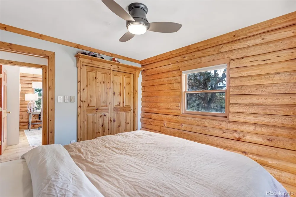29165 Pinon Circle Drive Buena Vista, CO 81211