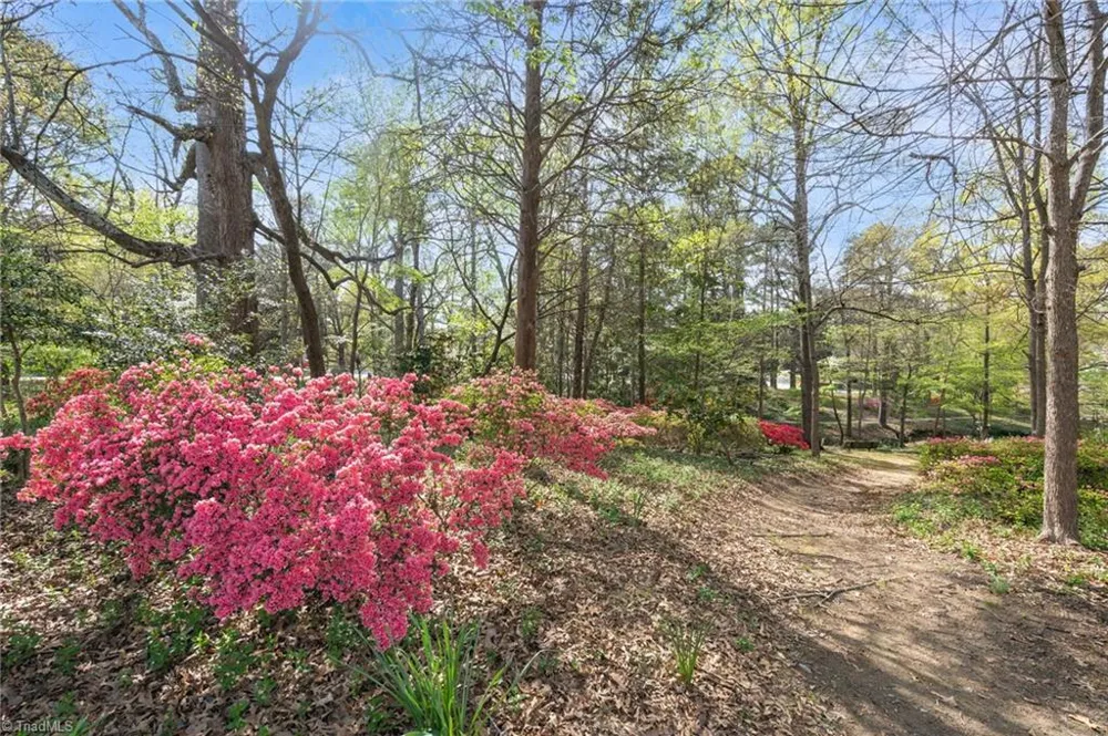 708 Magnolia Street Greensboro, NC 27401
