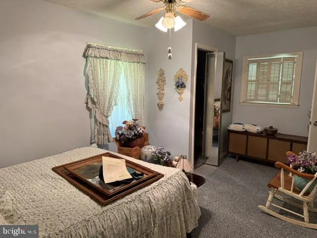 22413 MOUNTAINEER DR Seneca Rocks, WV 26884