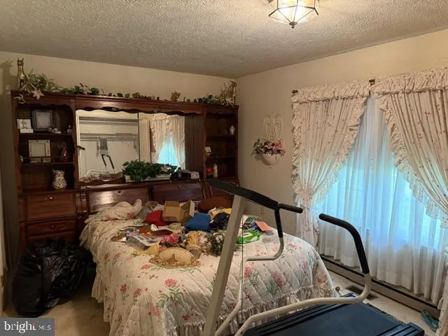 22413 MOUNTAINEER DR Seneca Rocks, WV 26884