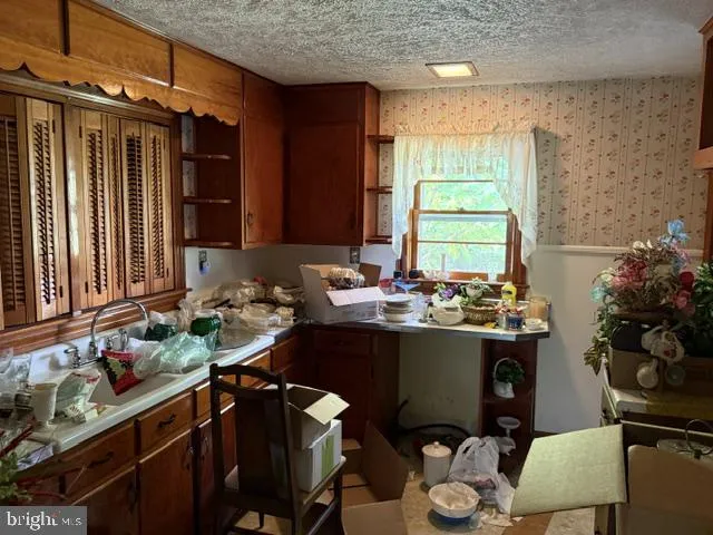 22413 MOUNTAINEER DR Seneca Rocks, WV 26884