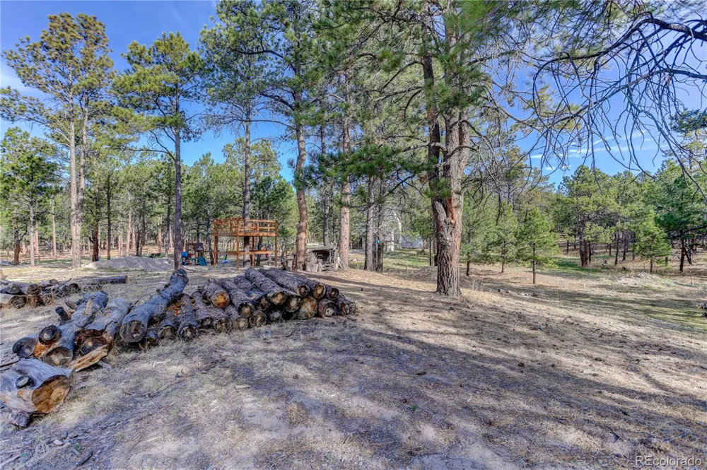9920 Hodgen Road Colorado Springs, CO 80908