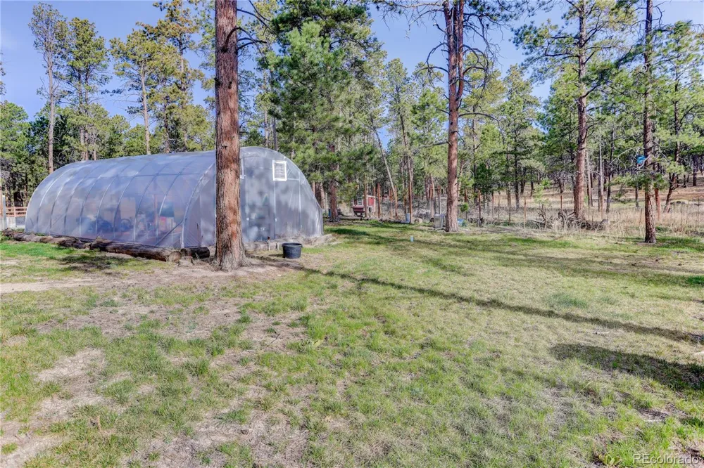 9920 Hodgen Road Colorado Springs, CO 80908