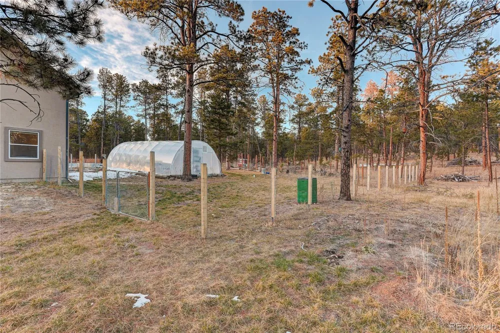 9920 Hodgen Road Colorado Springs, CO 80908