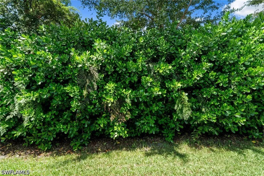 Woodhurst Drive Naples, FL 34120