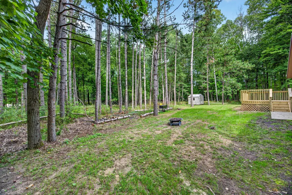 12336 Lone Wolf Drive Austin Township, MI 49346