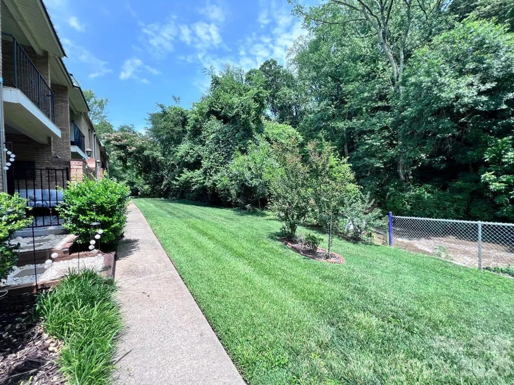 4743 Hedgemore Drive Charlotte, NC 28209