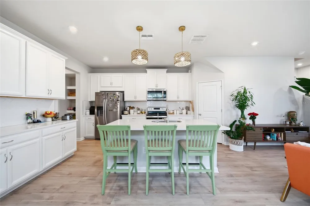 2361 SUMMERLIT STREET Lutz, FL 33558