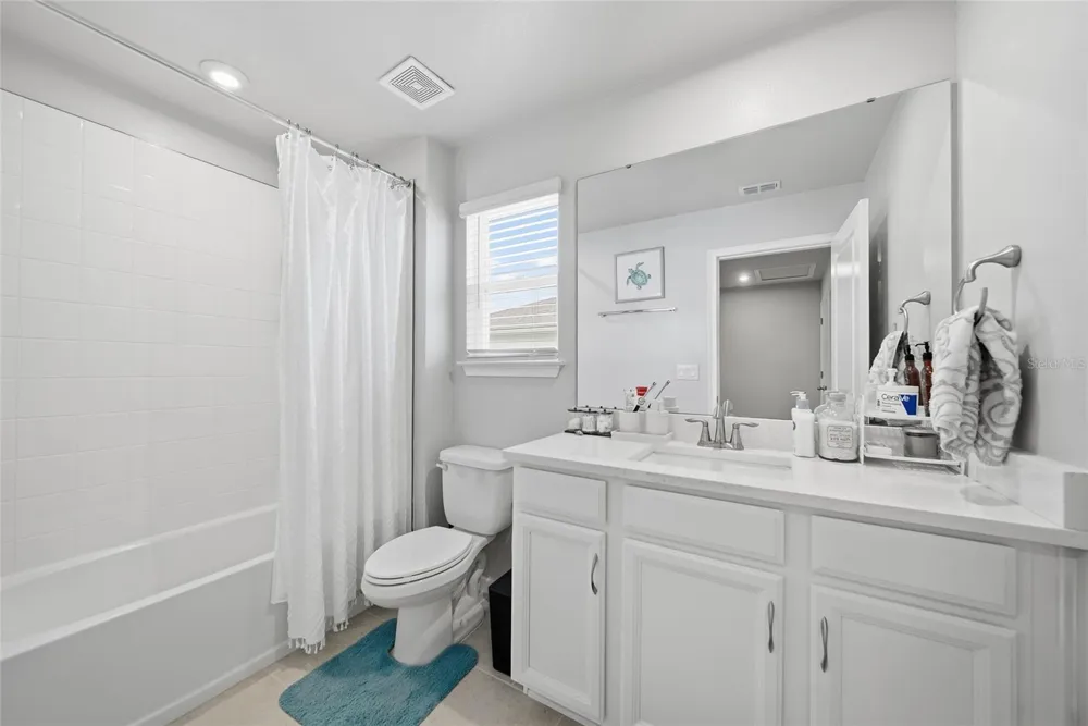 2361 SUMMERLIT STREET Lutz, FL 33558