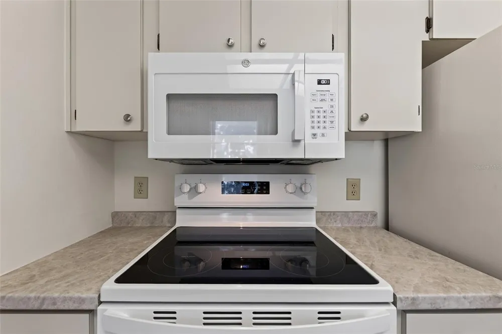9545 DANVILLE COURT #42 New Port Richey, FL 34655