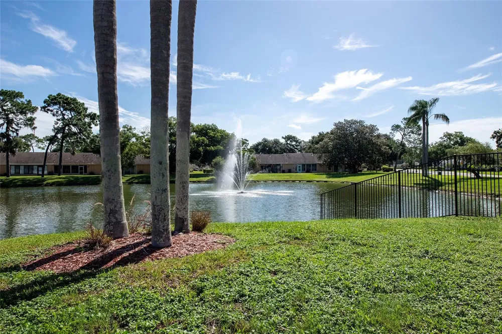 9545 DANVILLE COURT #42 New Port Richey, FL 34655