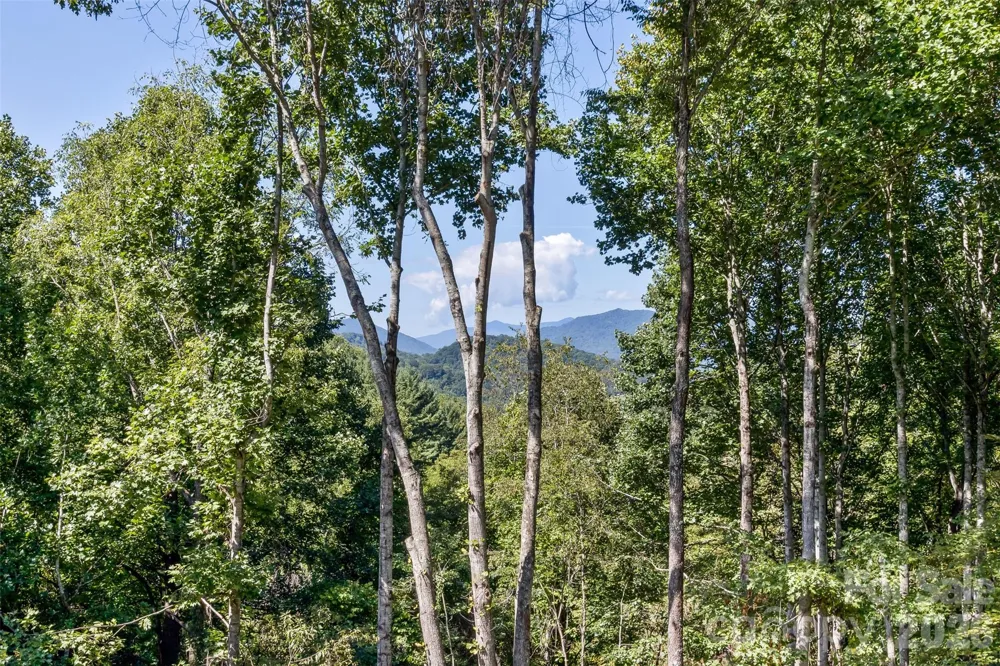 340 Matthew Lane Canton, NC 28716