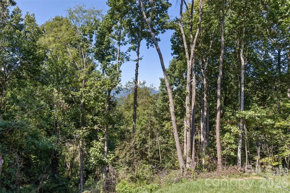 340 Matthew Lane Canton, NC 28716