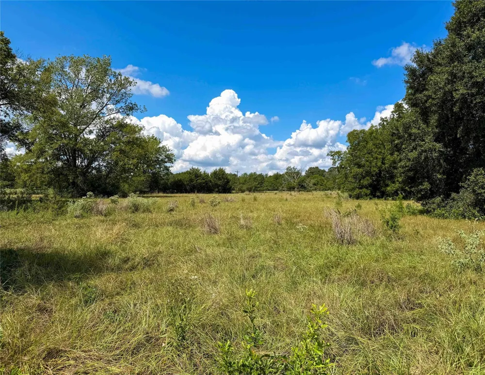 2085 County Road 3620 Lovelady, TX 75851