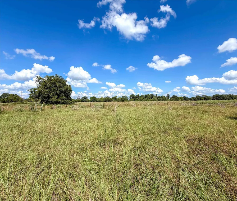 2085 County Road 3620 Lovelady, TX 75851