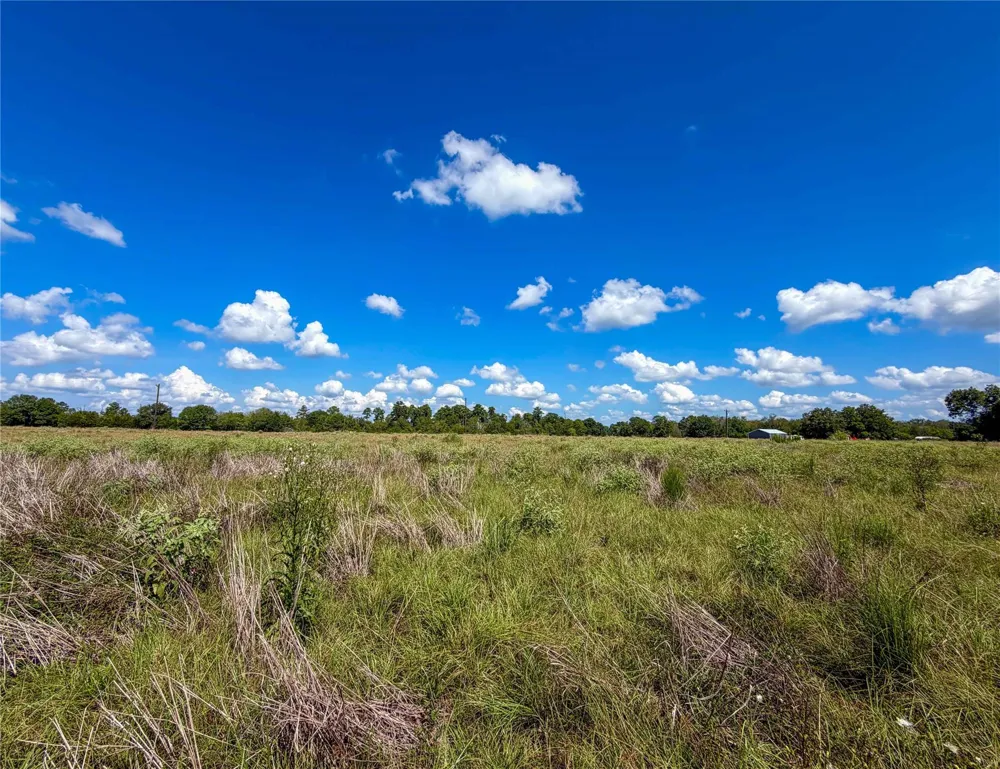 2085 County Road 3620 Lovelady, TX 75851