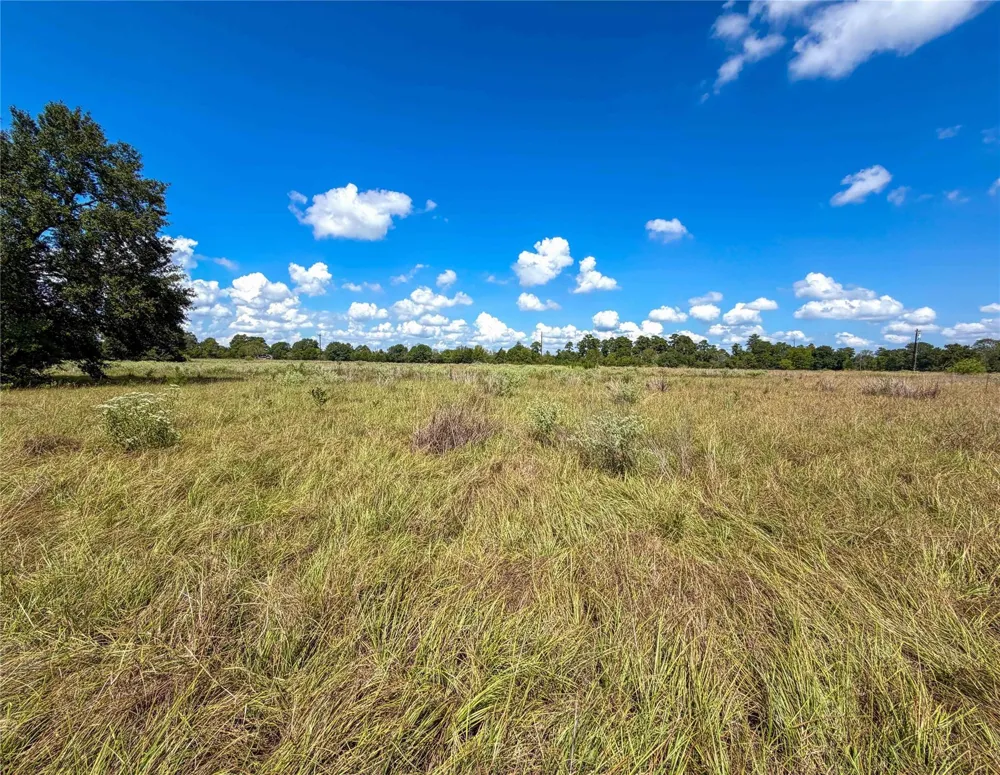 2085 County Road 3620 Lovelady, TX 75851
