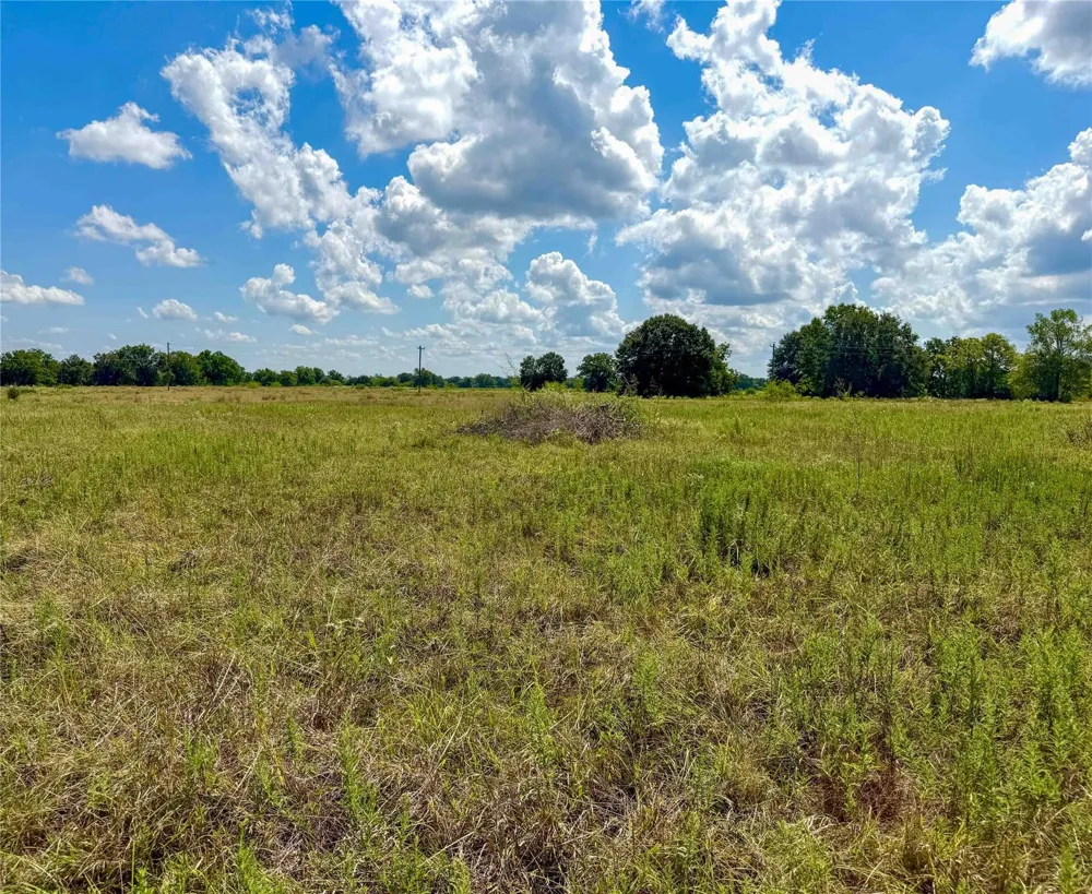 2085 County Road 3620 Lovelady, TX 75851