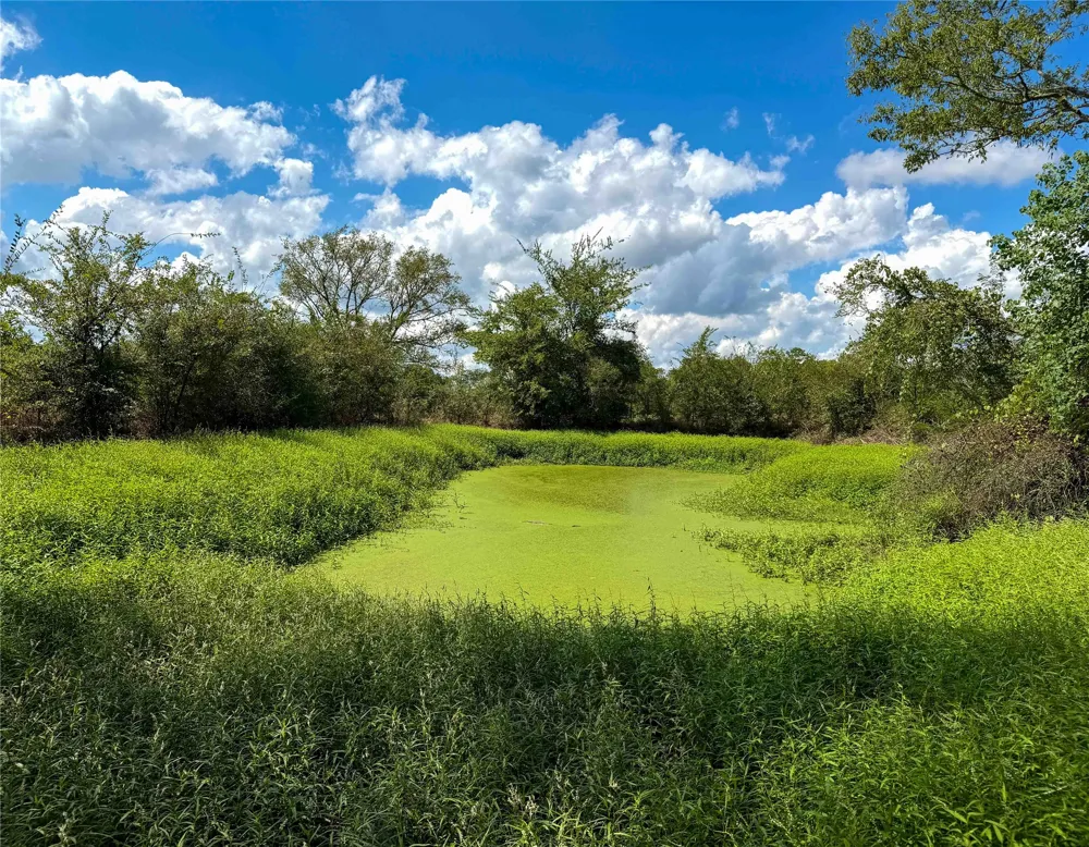 2085 CR 3620 Lovelady, TX 75851