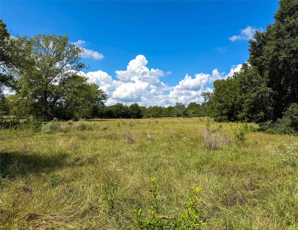 2085 CR 3620 Lovelady, TX 75851