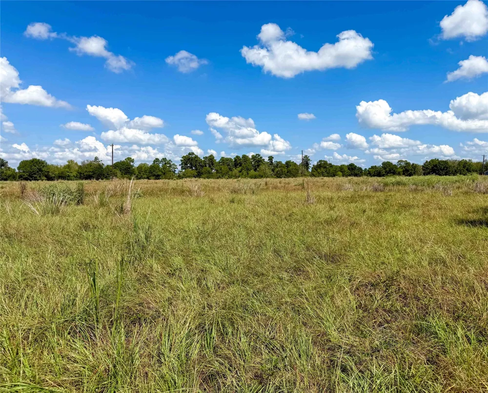 2085 CR 3620 Lovelady, TX 75851